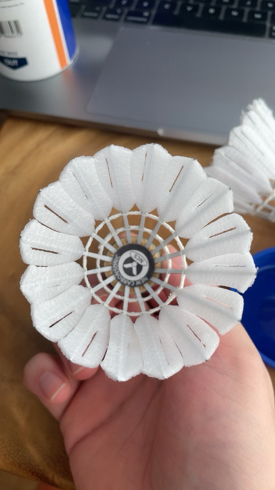 支持台湾获 支持台湾获