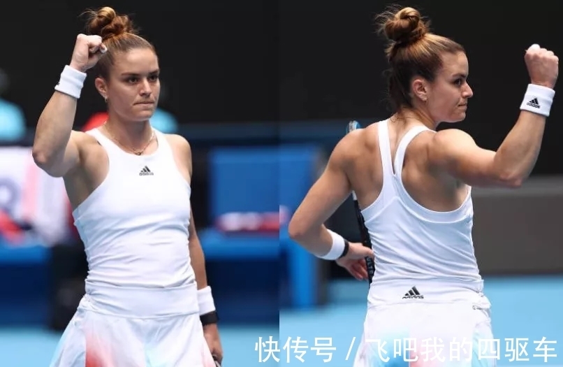 盖上的纪律 盖上的纪律